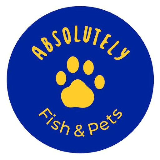 Your Aquarium Experts Specialising In Fish And Birds